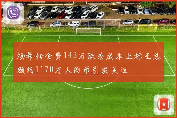 杨希转会费143万欧或成本土标王总额约1170万人民币引发关注