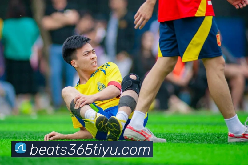 beats365体育平台生态图